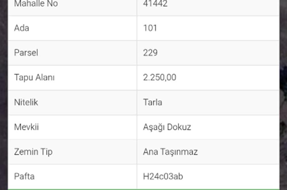 Bilecik Gölpazarı Dokuz Köyü Satılık Tarla