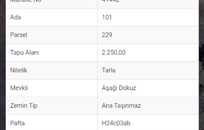 Bilecik Gölpazarı Dokuz Köyü Satılık Tarla