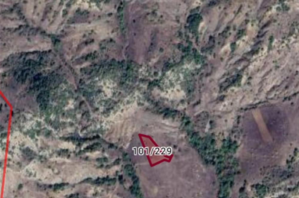 Bilecik Gölpazarı Dokuz Köyü Satılık Tarla