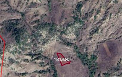 Bilecik Gölpazarı Dokuz Köyü Satılık Tarla