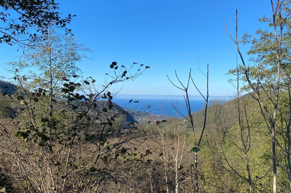 CENTURY 21'DEN PERŞEMBE YENİKÖY'DE DENİZ MANZARALI BAHÇE