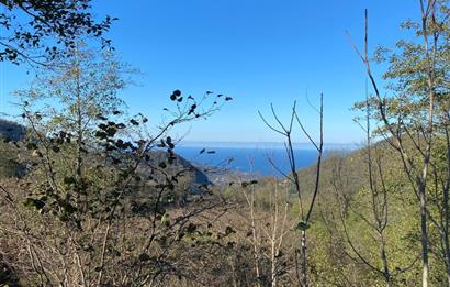 CENTURY 21'DEN PERŞEMBE YENİKÖY'DE DENİZ MANZARALI BAHÇE