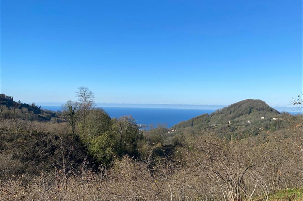 CENTURY 21'DEN PERŞEMBE YENİKÖY'DE DENİZ MANZARALI BAHÇE