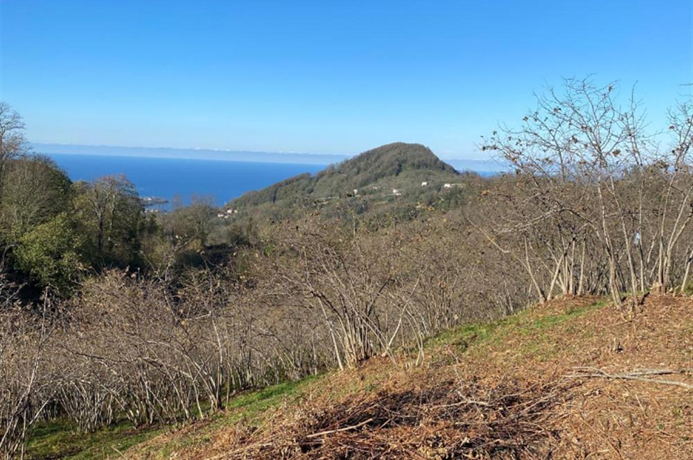 CENTURY 21'DEN PERŞEMBE YENİKÖY'DE DENİZ MANZARALI BAHÇE