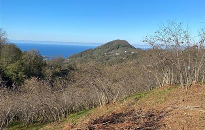 CENTURY 21'DEN PERŞEMBE YENİKÖY'DE DENİZ MANZARALI BAHÇE