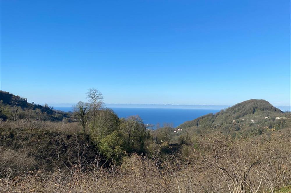 CENTURY 21'DEN PERŞEMBE YENİKÖY'DE DENİZ MANZARALI BAHÇE