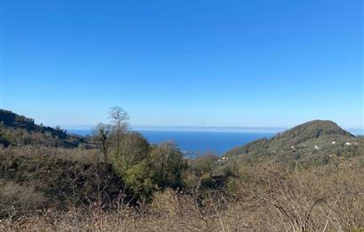 CENTURY 21'DEN PERŞEMBE YENİKÖY'DE DENİZ MANZARALI BAHÇE