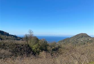 CENTURY 21'DEN PERŞEMBE YENİKÖY'DE DENİZ MANZARALI BAHÇE - 1 - 30299