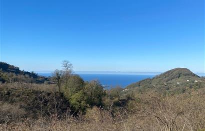 CENTURY 21'DEN PERŞEMBE YENİKÖY'DE DENİZ MANZARALI BAHÇE