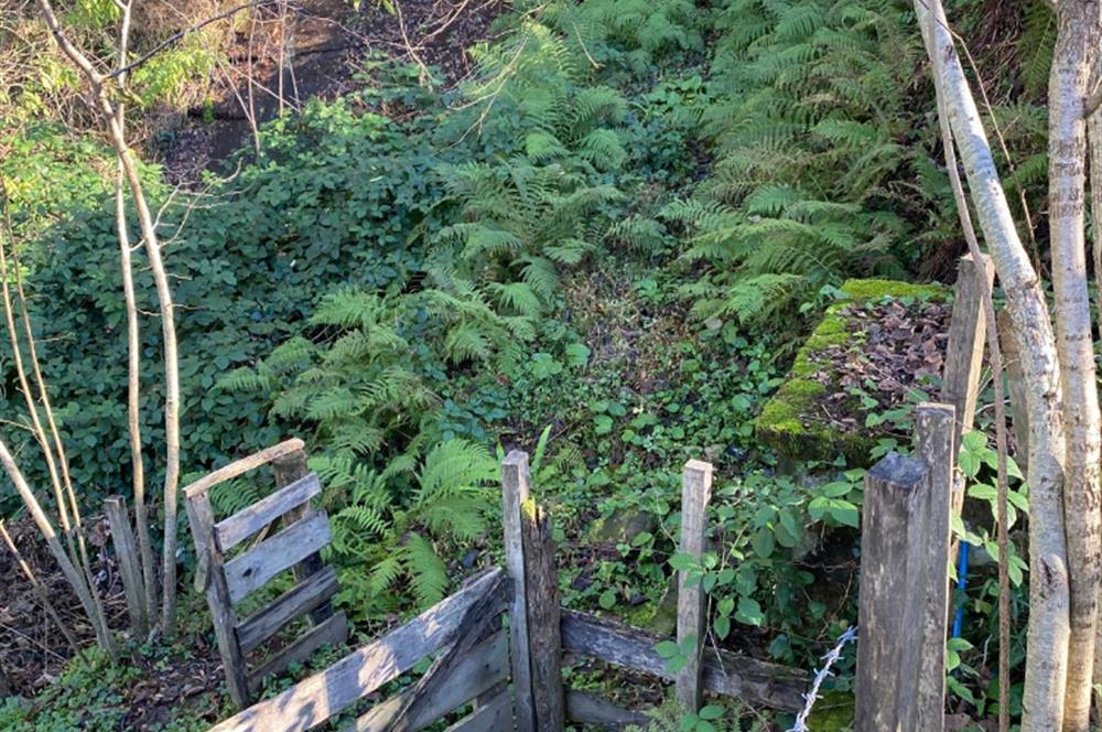 CENTURY 21'DEN PERŞEMBE YENİKÖY'DE DENİZ MANZARALI BAHÇE