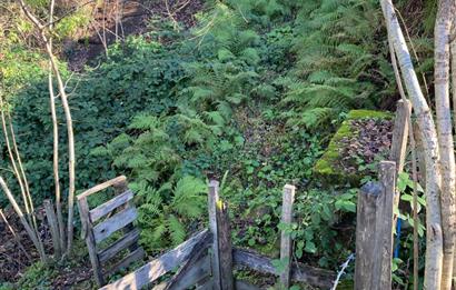 CENTURY 21'DEN PERŞEMBE YENİKÖY'DE DENİZ MANZARALI BAHÇE