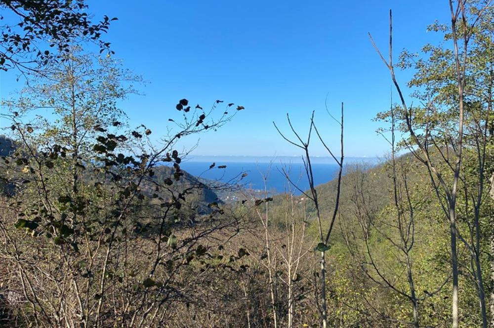 CENTURY 21'DEN PERŞEMBE YENİKÖY'DE DENİZ MANZARALI BAHÇE