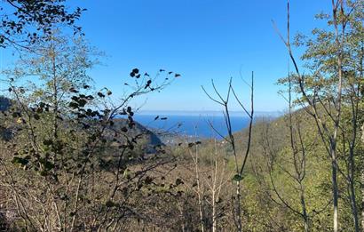 CENTURY 21'DEN PERŞEMBE YENİKÖY'DE DENİZ MANZARALI BAHÇE