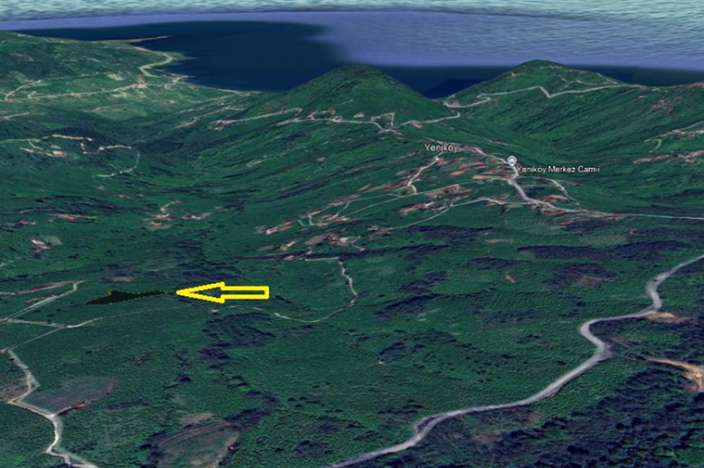 CENTURY 21'DEN PERŞEMBE YENİKÖY'DE DENİZ MANZARALI BAHÇE