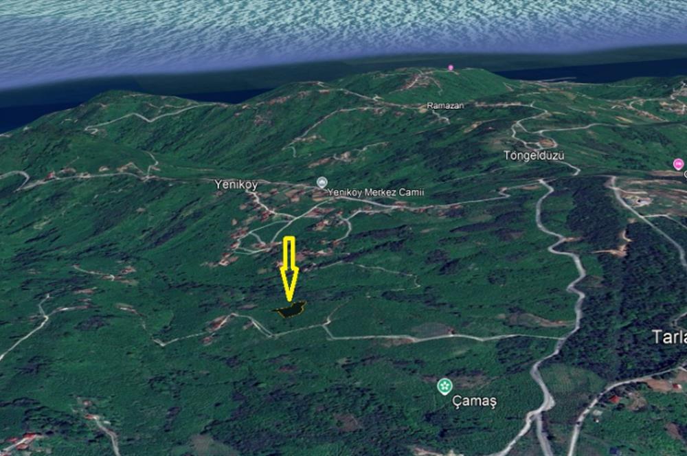 CENTURY 21'DEN PERŞEMBE YENİKÖY'DE DENİZ MANZARALI BAHÇE