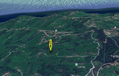 CENTURY 21'DEN PERŞEMBE YENİKÖY'DE DENİZ MANZARALI BAHÇE