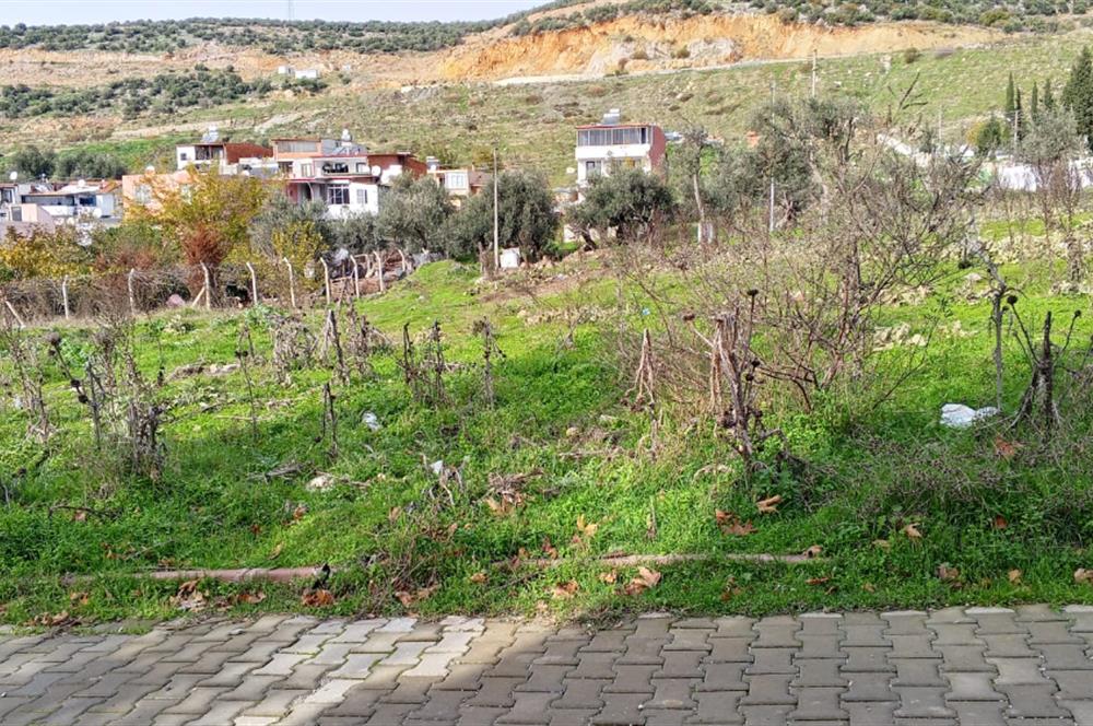 C21 BAL’DAN EDREMİT İBRAHİMCE’DE// YOLA YAKIN 199 m2 ARSA