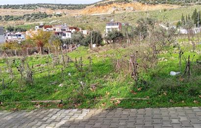 C21 BAL’DAN EDREMİT İBRAHİMCE’DE// YOLA YAKIN 199 m2 ARSA