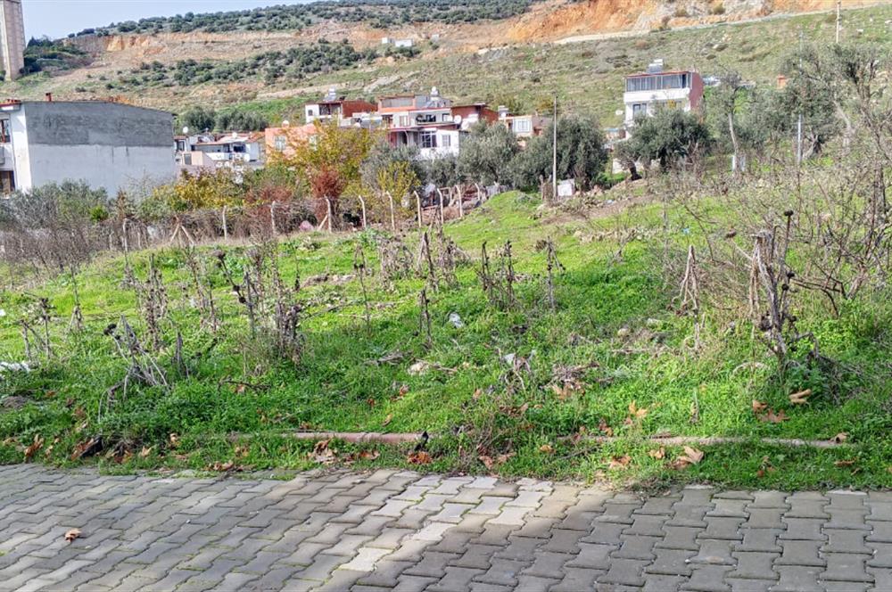 C21 BAL’DAN EDREMİT İBRAHİMCE’DE// YOLA YAKIN 199 m2 ARSA