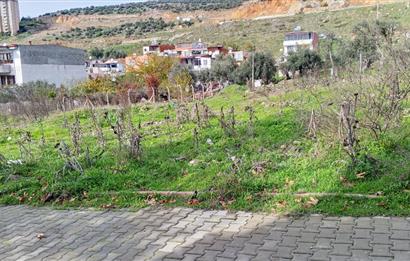 C21 BAL’DAN EDREMİT İBRAHİMCE’DE// YOLA YAKIN 199 m2 ARSA