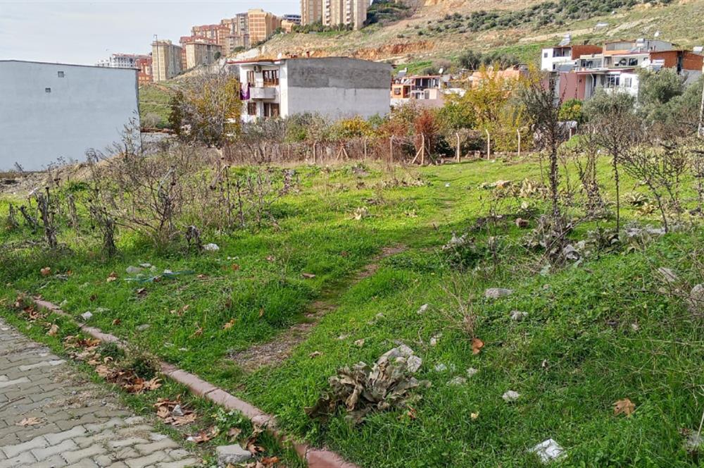 C21 BAL’DAN EDREMİT İBRAHİMCE’DE// YOLA YAKIN 199 m2 ARSA