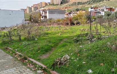 C21 BAL’DAN EDREMİT İBRAHİMCE’DE// YOLA YAKIN 199 m2 ARSA