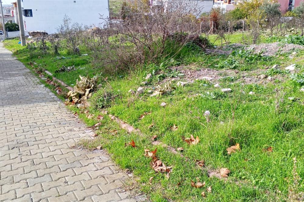 C21 BAL’DAN EDREMİT İBRAHİMCE’DE// YOLA YAKIN 199 m2 ARSA