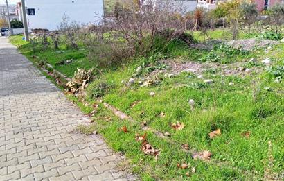 C21 BAL’DAN EDREMİT İBRAHİMCE’DE// YOLA YAKIN 199 m2 ARSA