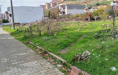 C21 BAL’DAN EDREMİT İBRAHİMCE’DE// YOLA YAKIN 199 m2 ARSA