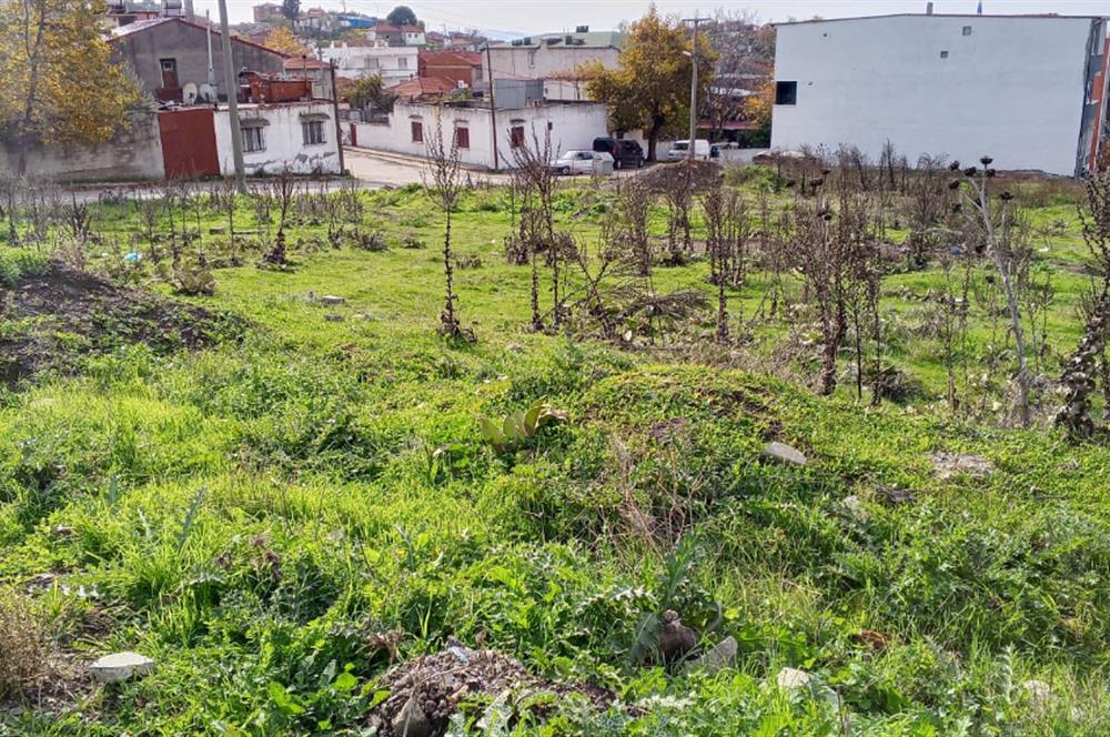 C21 BAL’DAN EDREMİT İBRAHİMCE’DE// YOLA YAKIN 199 m2 ARSA