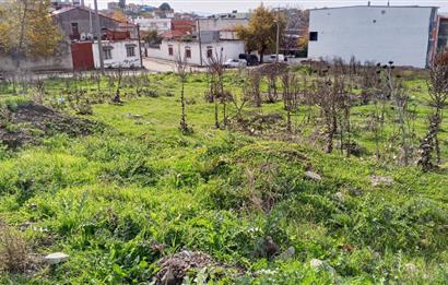 C21 BAL’DAN EDREMİT İBRAHİMCE’DE// YOLA YAKIN 199 m2 ARSA