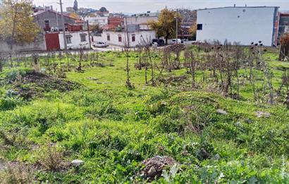 C21 BAL’DAN EDREMİT İBRAHİMCE’DE// YOLA YAKIN 199 m2 ARSA