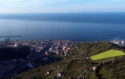 C21 UZMANDAN ÇARŞIBAŞINDA DENİZ MANZARALI FIRSAT ARAZİ Favorilerime Ekle Yazdır Facebook ile paylaş