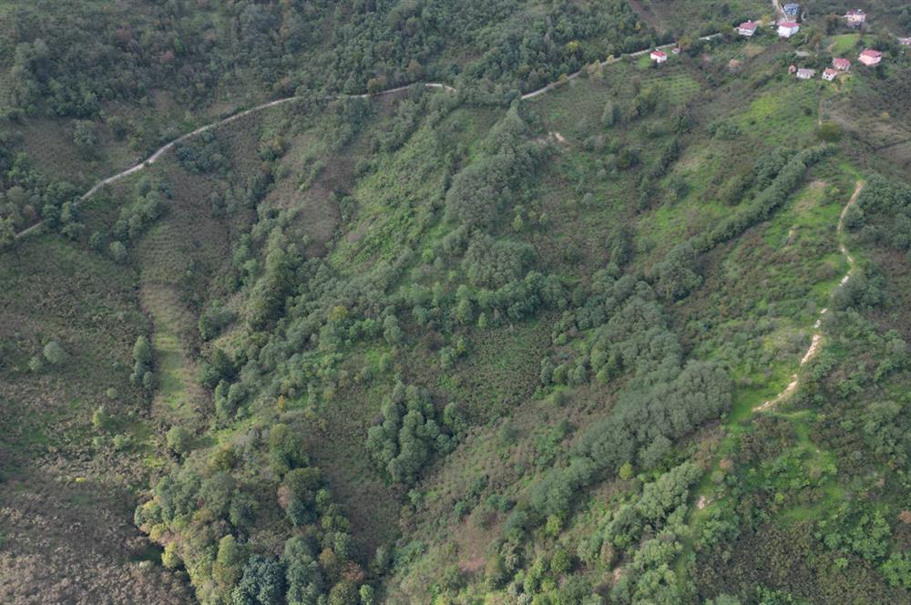 CENTURY21'DEN PERŞEMBE ÇAYTEPE'DE FINDIK BAHÇESİ