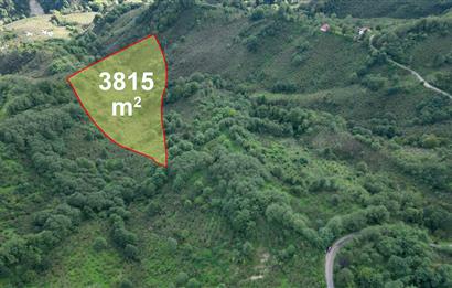 CENTURY21'DEN PERŞEMBE ÇAYTEPE'DE FINDIK BAHÇESİ