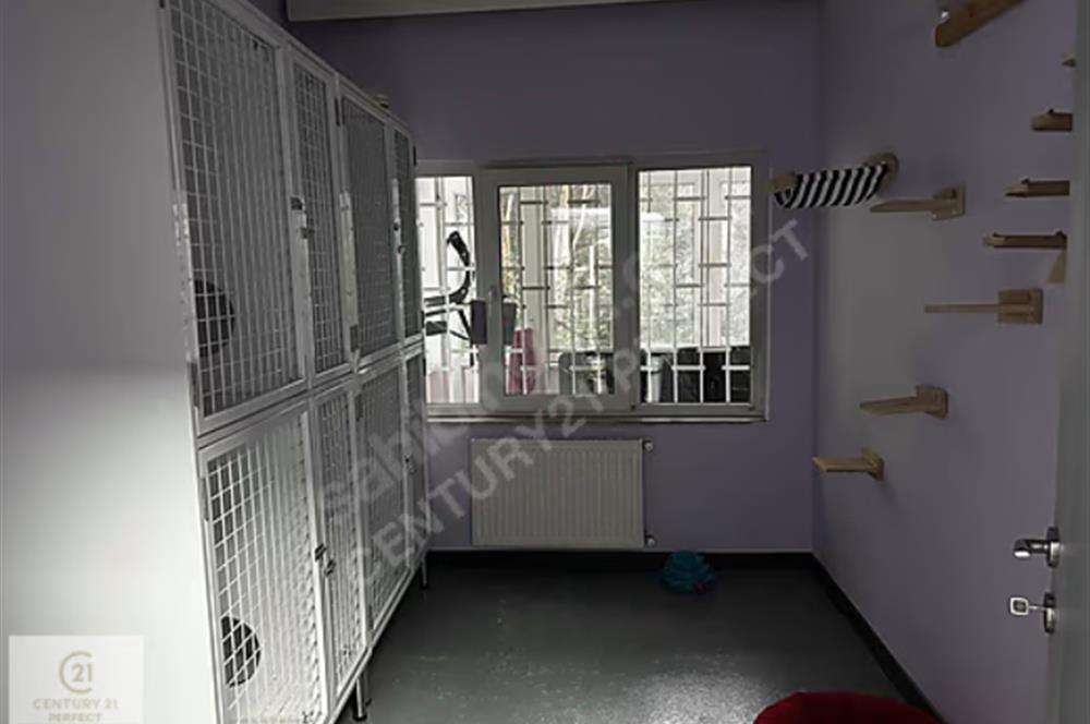 Suadiye Beyazgülde 4 Kat İmarlı Arsa Üzerinde 2 Katlı Bina