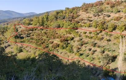 BAYINDIR BALCILARDA 6 DÖNÜM KİRAZ VE MEYVE BAHÇESİ