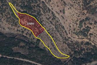 BAYINDIR BALCILARDA 6 DÖNÜM KİRAZ VE MEYVE BAHÇESİ - 8 - 30413