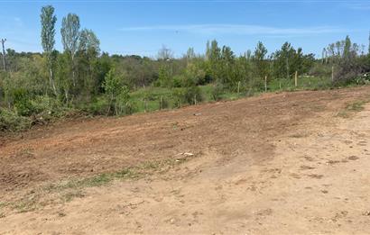 Kırklareli Merkez Haticehatun Satılık 2.400 m2 Bağ