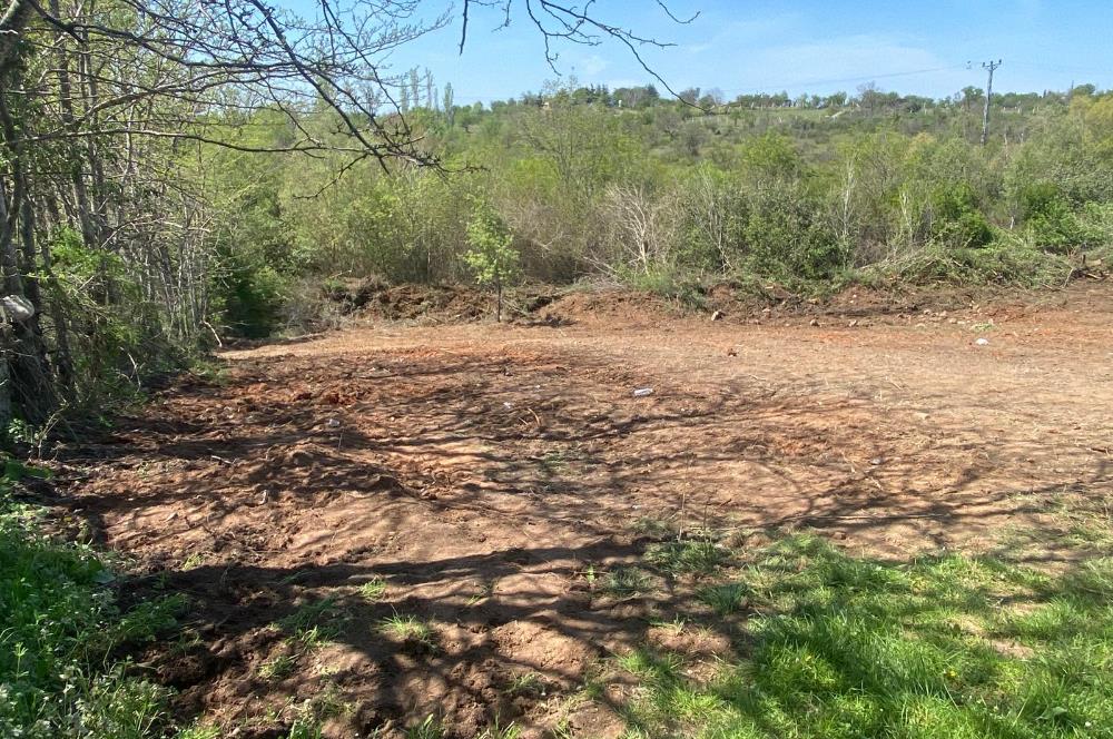 Kırklareli Merkez Haticehatun Satılık 2.400 m2 Bağ