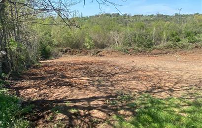 Kırklareli Merkez Haticehatun Satılık 2.400 m2 Bağ