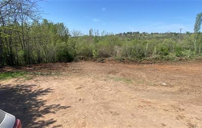Kırklareli Merkez Haticehatun Satılık 2.400 m2 Bağ