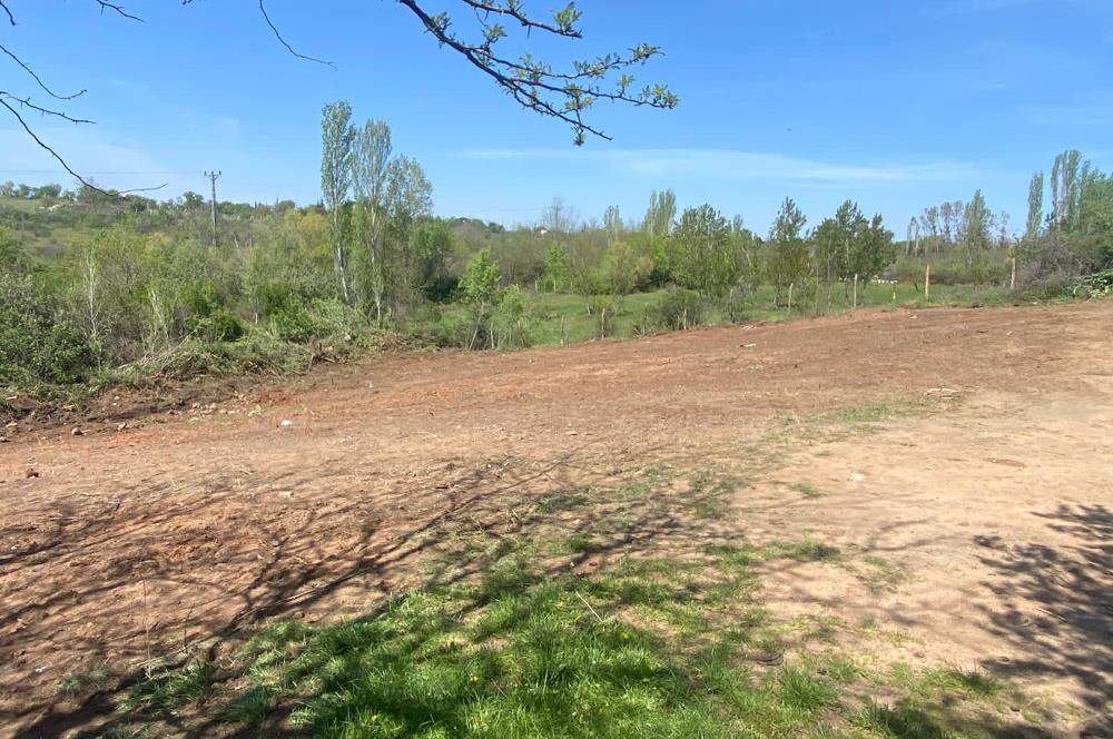 Kırklareli Merkez Haticehatun Satılık 2.400 m2 Bağ