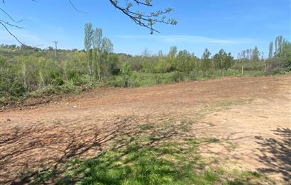 Kırklareli Merkez Haticehatun Satılık 2.400 m2 Bağ