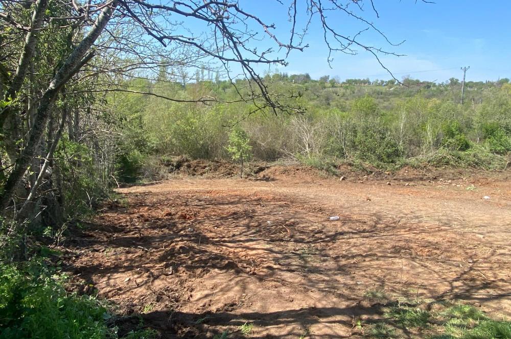 Kırklareli Merkez Haticehatun Satılık 2.400 m2 Bağ