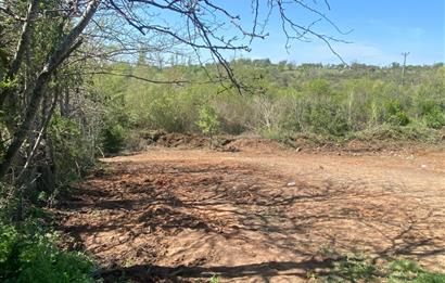 Kırklareli Merkez Haticehatun Satılık 2.400 m2 Bağ