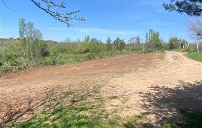 Kırklareli Merkez Haticehatun Satılık 2.400 m2 Bağ