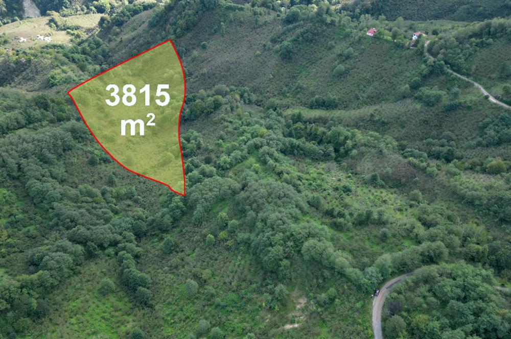 CENTURY21'DEN PERŞEMBE ÇAYTEPE'DE FINDIK BAHÇESİ