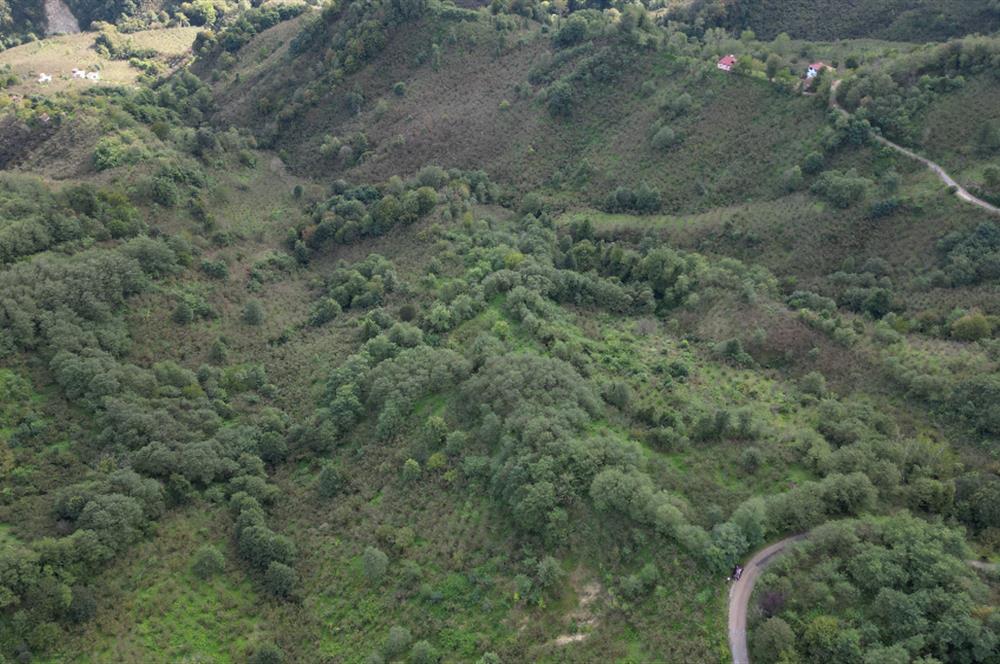 CENTURY21'DEN PERŞEMBE ÇAYTEPE'DE FINDIK BAHÇESİ