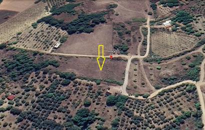 Sakarya Geyve'de Yatırımlık Satılık Tarla